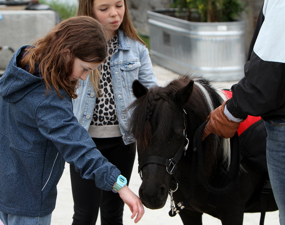 WATCH Pancake breakfast fundraiser returns with a ROARR CochraneNow